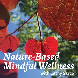 Nature-Based Mindful Wellness