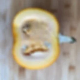 Pumpkin Dissection