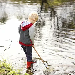 Stream Hunters
