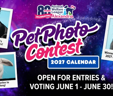 2027 Calendar Pet Photo Contest