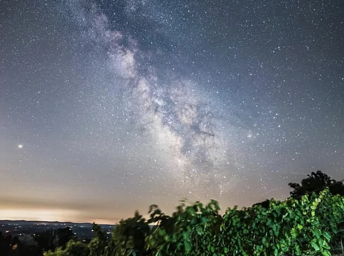 Full Moon Horoscope Tasting Series | 2026