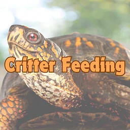 Critter Feeding