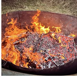 Biochar Workshop