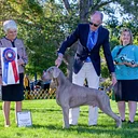 Bonanza Kennel Club AKC Dog Shows, Obedience, & Rally Trials