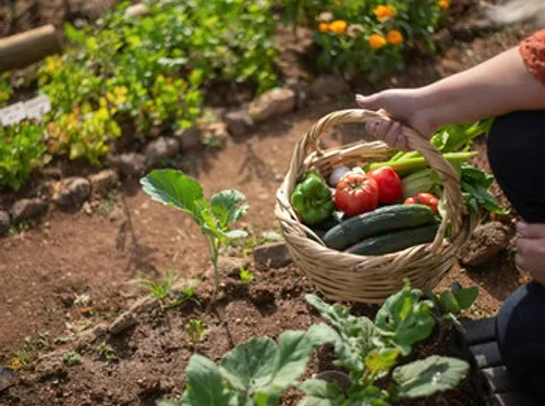 Austin Organic Gardeners March Meeting