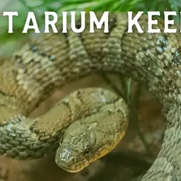 Herpetarium Keeper Talk