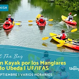 Excursion en kayak por los manglares con Armando Ubeda, UF/IFAS (Presentado en Espanol)