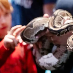 Animal Encounters