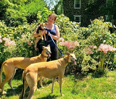 Greyhounds in Gettysburg