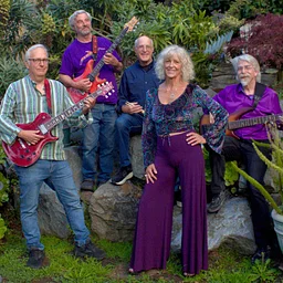 Live Music with Purple Albatross 11/14/26