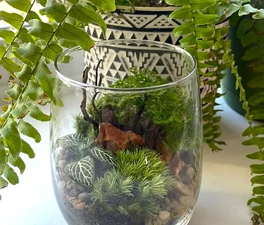 Mini Terrarium Workshop: Exploring Small Ecosystems in Glass
