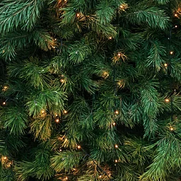 North Carolina Master Chorale Joy of the Season