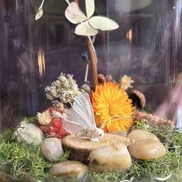 Fairy Garden Terrariums