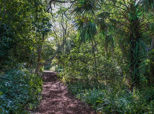 In Community: Meet at the Bridge with Arch Creek Park