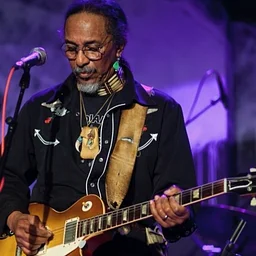 The Bobby Young Project