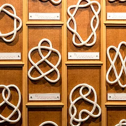 Exploring Knots