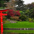 Brooklyn Botanic Gradren