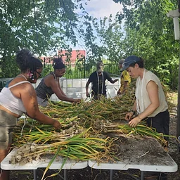 Weekly Volunteer Hours at KGD Farm - August 25
