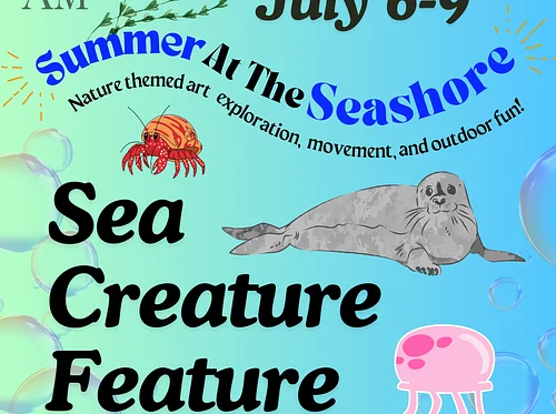 Summer At The Seashore: Sea Creature Feature 🪼