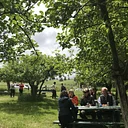 Artist welcome party with Open AIR