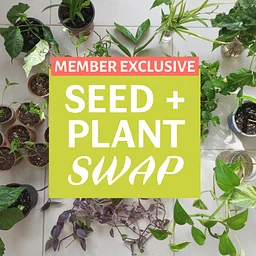 Seed + Plant Swap