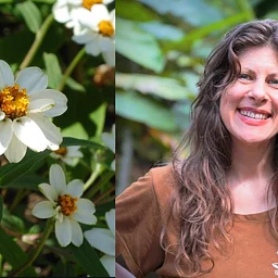CANCELED | Plants & Prose with Vanessa Chakour