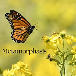 Metamorphosis: A Celebration of Healing & Transformation
