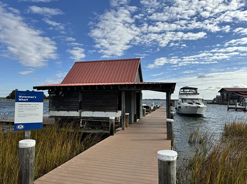 Guided Tour: Catch of the Day