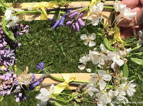 Nature Picture Frames