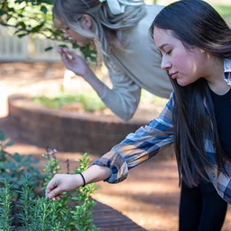 Making Good Choices: Helping Homeowners Find a Balance in Plant Selection