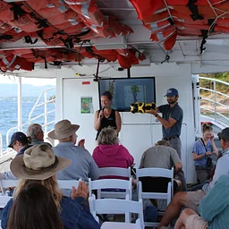 Shipwreck Tour