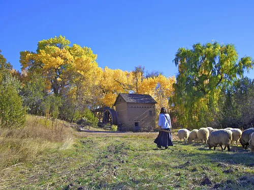 A Mindful Immersion at the Wetlands