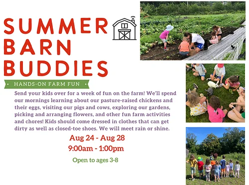 August 24 - August 28: Summer Barn Buddies