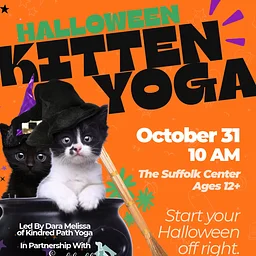 Halloween Kitten Yoga at Suffolk Center for Cultural Arts