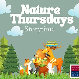 Nature Thursdays – December Winter