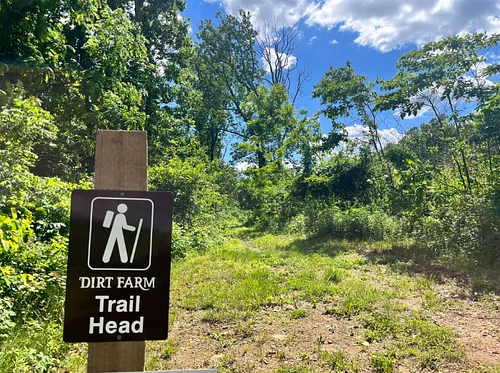 Trail Fest – Hiking, Bluegrass, Vendors, Beer + Bites!