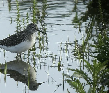 Melody Arnold Photography Exhibit