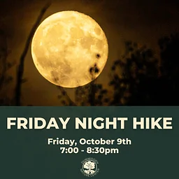Friday Night Hike