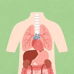 Just for Me: Anatomy Adventure