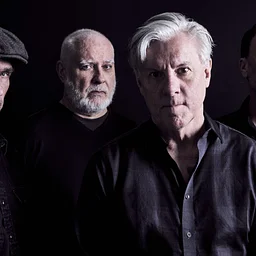 Toadies
