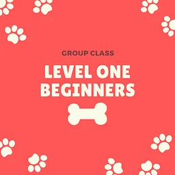 Level 1 Beginners Class