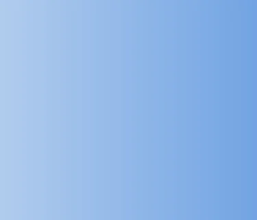 sea lion presentation