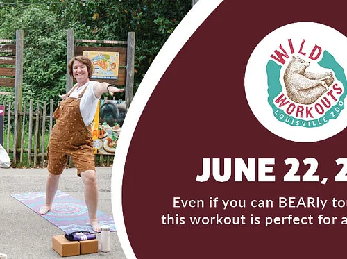 Wild Workout: Yoga (Glacier Run)