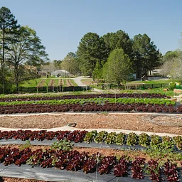 Serenbe Farm Tours