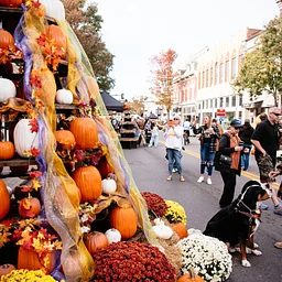 41st Annual PumpkinFest | 2026