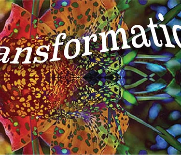 Open Art Exhibition: “Transformation”