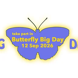 Butterfly Big Day 2026 (A Citizen Science Opportunity!)