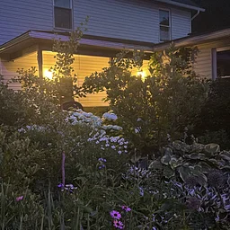 Cozy Dinner: Summer Thursday