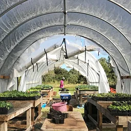 Grow Dat Ecological Restoration Project