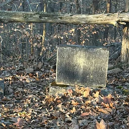 Arboretum Cemetery Tour
